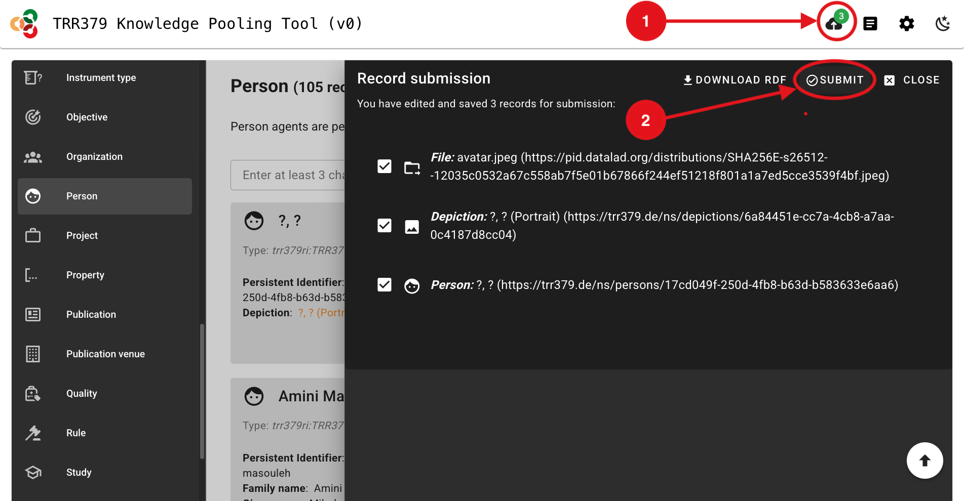 Screenshot showing the form submit button with a summary of the saved and to-be submitted records.